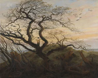 Der Baum der Krähen