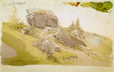 Wiesenstück mit Felsen im Riesengebirge
