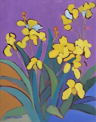 Sommerlicher Irisgarten, 2024