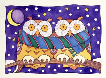 Eulen bei Nacht