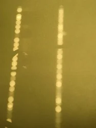 Komposition - Licht, 2019