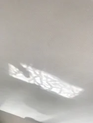 Komposition - Reflexionen