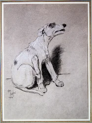 5:15 Aufgewacht durch einen schlimmen Ekzem-Anfall, Illustration aus A Dog Day von Walter Emanuel