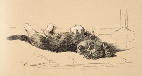 Rauhaariger Dackelwelpe (Detail), 1930, Illustrationen aus seinem Skizzenbuch verwendet für Just Among Friends, Aldin, Cecil Charles Windsor (1870-1935), später veröffentlicht von Eyre und Spottiswoode Limited, 1934
