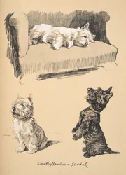 West Highlanders und Scotch, 1930, Illustrationen aus seinem Skizzenbuch verwendet für Just Among Friends, später veröffentlicht von Eyre und Spottiswoode Limited, 1934