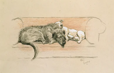 Wolfshund und Bullterrier schlafen auf einem Sofa
