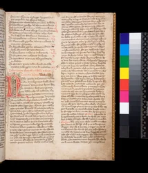 Dekorierter Buchstabe [N] in roter Tinte mit Federverzierungen in brauner Tinte