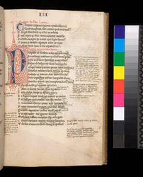 Ms 325. Lucan, Bellum Civile und andere Werke, f.35r. Geteiltes Initial [P] in Rot und Blau mit kontrastierender Federverzierung, ca. 1353 (Pergament)