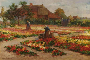 Der Gemüsegarten