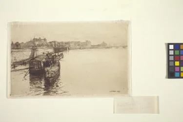 Passagierschiffe auf der Seine