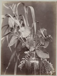 Blumenstudie mit Glasflasche