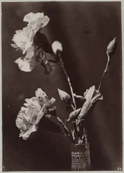 Blumenstudie mit Glasvase