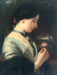 Eine englische Rose