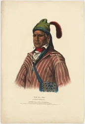 Menawa