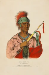 Ne-o-mon-ne - ein Häuptling der Iowa