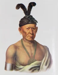 Wakechai oder 
