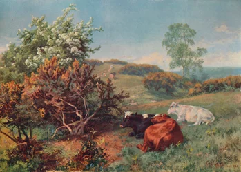 Landschaft mit Vieh in The Nower, Dorking, um 1899