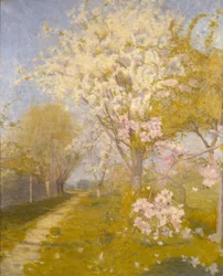 Apfelblüte in Dennemont