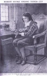 Robert Hooke entdeckt Dinge