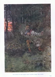 Der Täter sprang aus dem Wald