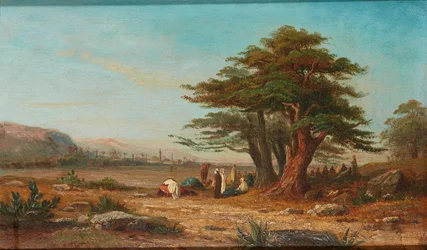 Lageraufbau mit ruhenden Kamelen