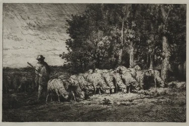 Eine Herde am Waldrand