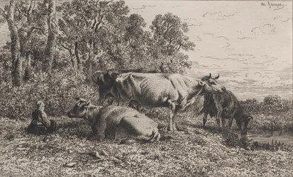 Holländische Kühe