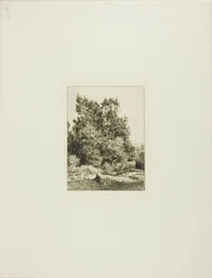 Landschaft mit Kuhhirte