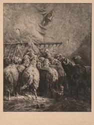 Schafgehege in Béarn
