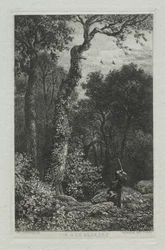 Die Jagd auf die Waldschnepfe