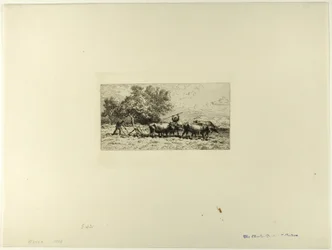 Ochsen-Gespann