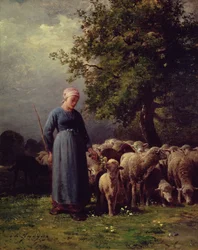 Die fehlende Herde