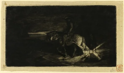 Der Reiter