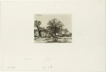 Bäume und Kühe in der Nähe eines Teichs