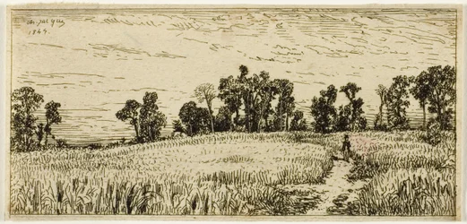 Weizenfeld