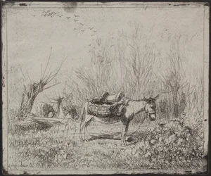 Ein Esel auf dem Feld