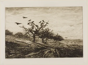 Krähen in einem Baum