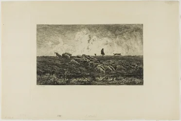 Der Regenschauer
