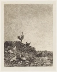 Der Gesang des Hahns