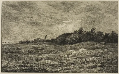Le Pré des Graves in Villerville (Calvados)