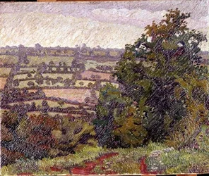 Grüne Landschaft