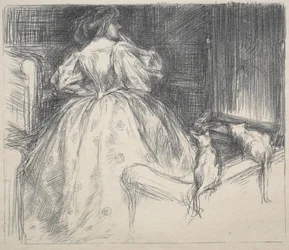 Das fantastische Kleid, 1890
