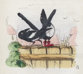 Zwei Elstern auf einem Gartenzaun (farbige Gravur)