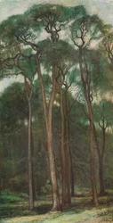 Studie von Bäumen, c1900 1903-1904