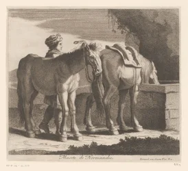 Trinkende Pferde