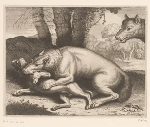 Hund von einem Wolf angegriffen