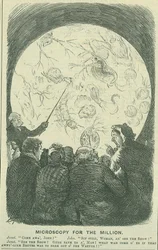 Mikroskopie für die Massen: 1878