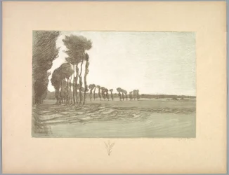 Suite de Paysages: Landschaft, Platte 5, Remarque, Drei Weizenhalme, 1892-1893