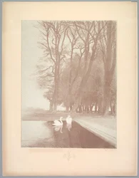Suite de Paysages: Landschaft, Platte 6, Remarque, Lilien, 1892-1893