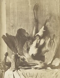 Wild-Stillleben, um 1853-55